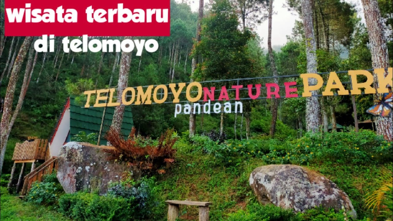 Telomoyo Nature Park: Petualangan Menakjubkan di Lereng Merapi